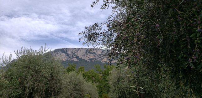 チレント　アルブルニ山脈
